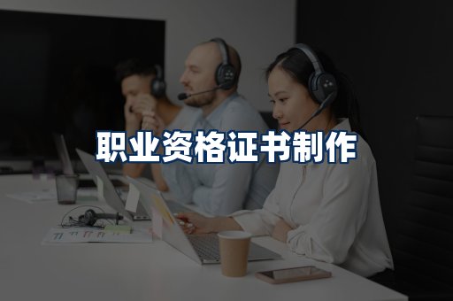 职业资格展示