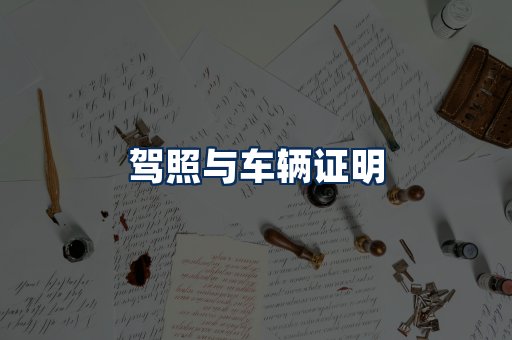 车辆证明展示
