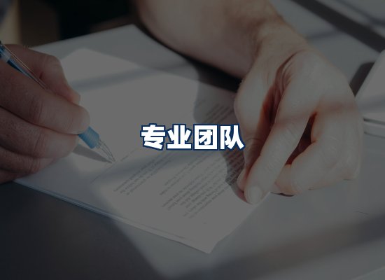 专业团队